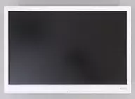 19-inch Wide Liquid Crystal Display LCD-AD193XW
