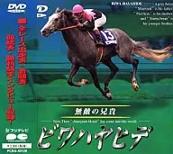 賽馬・Biwa Hayahide無敵之兄((株)Pony Canyon)