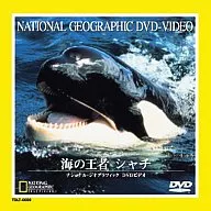 National Geographic Sea Champion Killer Whale (Toshiba EM I)