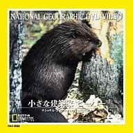 National Geographic Castor (Toshiba EM I)