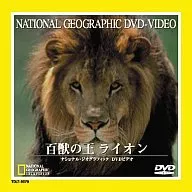 ナショナル・ジオグラフィック・百獣の王 ライオン (東芝イーエムアイ)