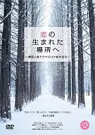 El lugar donde nació el amor : una popular drama coreana