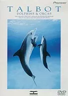 TALBOT DOLPHINS&ORCAS