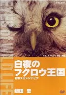 Hobbies / Northern Europe, Scandinavia, The Night Owl Kingdom, Tadashi Shimada