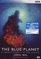 趣味/蓝星(6)CAROL SEAS