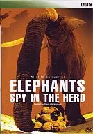ドキュメンタリー/スパイ・カメラ 象