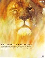 趣味/BBC WILDLIFE EXCLUSIVES BOX