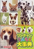 ワンチャンうんちく大事典