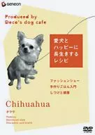 A Recipe for Living Happily with Your Dog Chihuahua