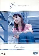 Sakura Nogawa