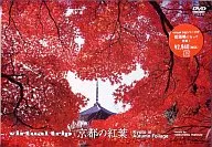 virtual trip/京都的紅葉