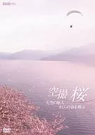 空撮  桜～天空の旅人  さくらの春を飛ぶ
