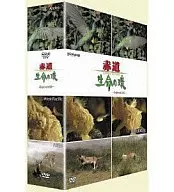 Rings of Equatorial Life DVD-BOX (3-Pack)