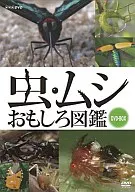 Insect and Insect Fun Guide Set (3-Pack)