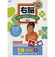 右腦影像訓練入門篇IQ(1)