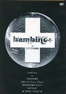 バンビーノ+プラス in YOKOHAMA