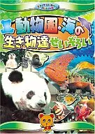 Zoos and Sea Creatures