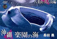 沖縄 楽園の海 ～八重山・宮古島編～