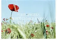 Musical "Ángel cierra los ojos"