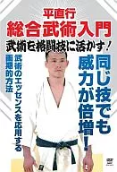 平直行/綜合武術入門將武術活用於格鬥技！