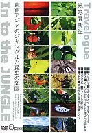 Travelogue 地球冒険記 地球とつながろう In to the JUNGLE 東南アジアのジャングルと昆虫の楽園