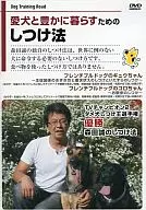 Disciplina para viver com o seu cão Buldogue francês Gyu-chan Buldogue francês Koro chan