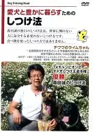 How to Train Your Dog to Live a Better Life : Chihuahua no Lame Chan