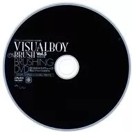VISUAL BOY BRUSH Vol. 5 Special Appendix BRUSHING DVD A special DVD with a large volume of approximately 100 minutes.
