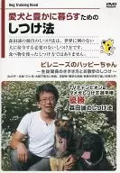 Disciplina para viver com o seu cão Feliz dos Pirenéus