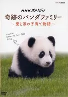 奇跡のパンダファミリー ～愛と涙の子育て物語～