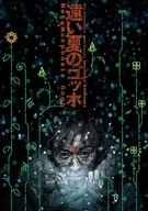 SHATNER of WONDER ♯6 「遠い夏のゴッホ」