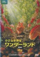 小さな世界はワンダーランド