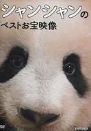 Giant Panda Xianshan's best treasured image