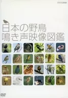 Japanese birdsong video catalog