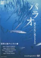 世界の海チャンネル Vol.05 パラオ 流れの先に見えるもの