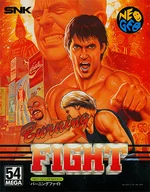 バーニングファイト(ROMカセット)