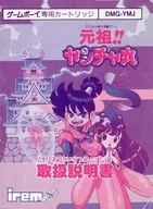 [説明書のみ] 元祖ヤンチャ丸