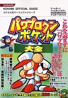 GB/GBA Power Pro Kung Pocket Taizen