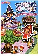 DS Tonari Boushi and Magical Shop Kanpeki! A Guide to Capture