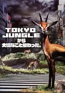 I learned something important from the PS3 Tokyo Jungle.