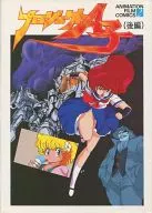 PROJECT A-KO, second part