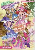 Magical DoReMi : Magical Guide