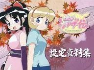 NINJA NONSENSE setting data collection