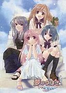 Brochura de Tsubasa dos Sonhos