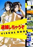 You're Under Arrest Visual Book