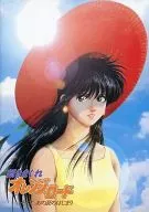 Folleto New Orange ★ Road Y el comienzo del verano.