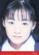 Pamphlet Mari KO KOUDA CONCERT TOUR' 95 Vivid