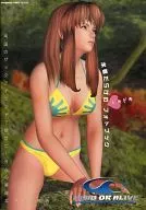 DEAD OR ALIVE Xtreme Beach Volleyball Swimsuit Photo Book