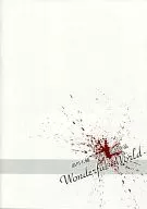 场刊浪川大辅第1届监督作品Wonderful World