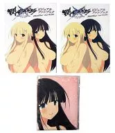 SENRAN KAGURA - Proof of Girls - Visual Fanbook Another version [Limited Edition]